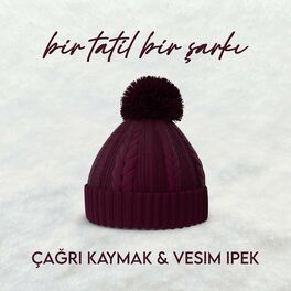 Album cover of Bir Tatil Bir Şarkı