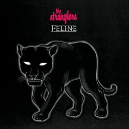 Album cover of Feline