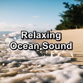 Album cover of Relaxing Ocean Sound