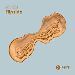 Album cover of Flipside EP