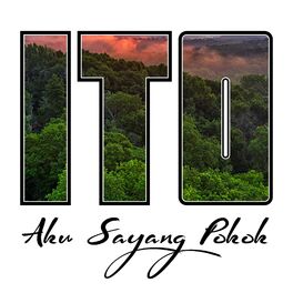 Album cover of Aku Sayang Pokok