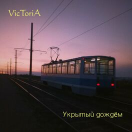 Victoria Collection Album MM 10x15/100 M Classic, brown 10017 