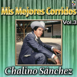 Album cover of Colección De Oro: Mis Mejores Corridos, Vol. 3