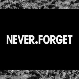 Album cover of Never Forget (bad music and stolen gems)