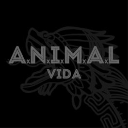 Album cover of Vida