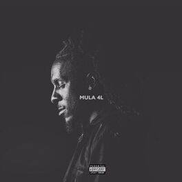 Album cover of Mula 4l