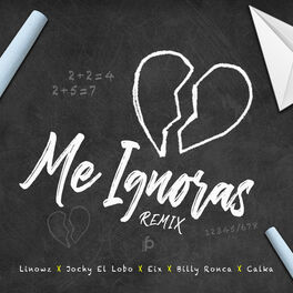 Album cover of Me Ignoras Remix