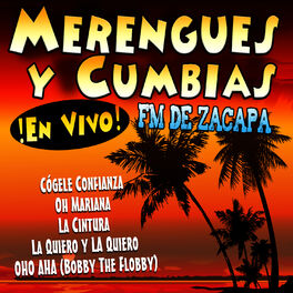 Album cover of Merengues y Cumbias