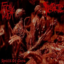 Album cover of Spoils of Gore (2023 Split w/ Fecalworm)
