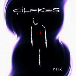 Album cover of Y.O.K.