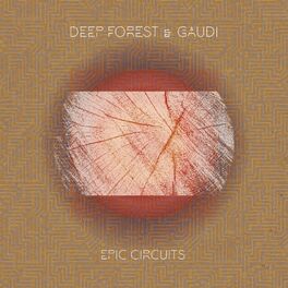 Album cover of Epic Circuits
