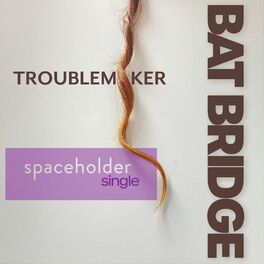 Album cover of Spaceholder