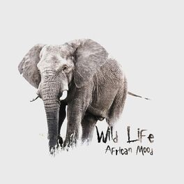 Album cover of Wild Life African Mood: Amazing Relaxation Jungle Sounds