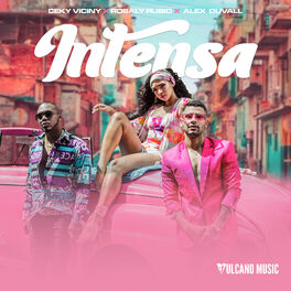 Album cover of Intensa