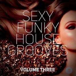 Album cover of Sexy Funky House Grooves Volume Three