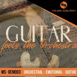 Album cover of Guitar Feels The Orchestra