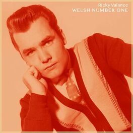 Album cover of Welsh Number One