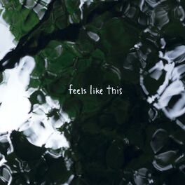 Album cover of Feels Like This