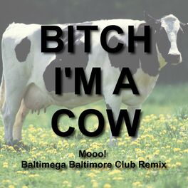 Album cover of Bitch I'm a Cow