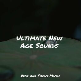 Album cover of Ultimate New Age Sounds