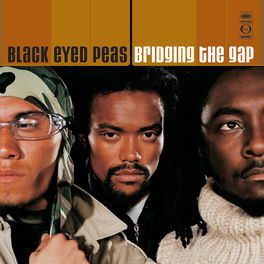 Album cover of Bridging The Gap