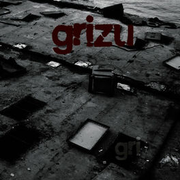Album cover of Gri