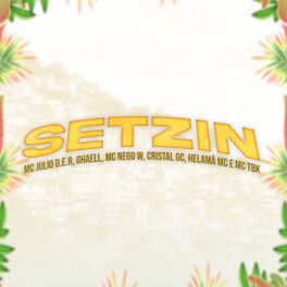 Album cover of Setzin