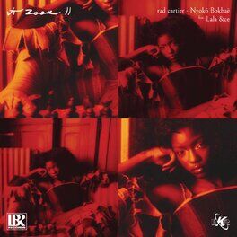 Album cover of VT ZOOK II