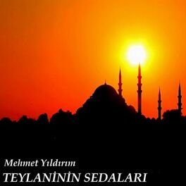 Album cover of Teylaninin Sedaları