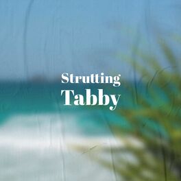 Album cover of Strutting Tabby