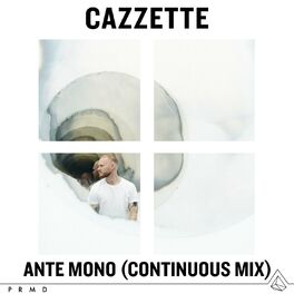 Album cover of Ante Mono (DJ Mix)