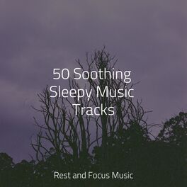 Album cover of 50 Soothing Sleepy Music Tracks
