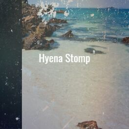 Album cover of Hyena Stomp