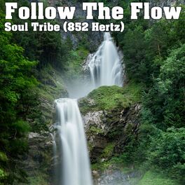 Album cover of Soul Tribe (852 Hertz)