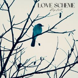 Album cover of Love Scheme