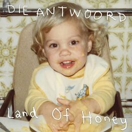 Album cover of Land Of Honey
