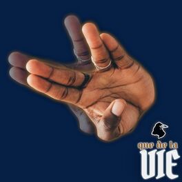 Album cover of Que de la Vie (feat. Damso)