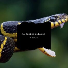 Album cover of No Snakes Allowed
