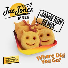 Album cover of Where Did You Go? (Jamie Roy Remix)