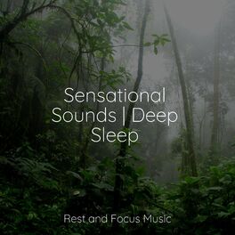 Album cover of Sensational Sounds | Deep Sleep