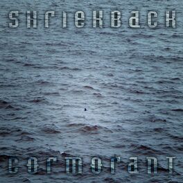 Album cover of Cormorant
