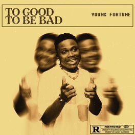 Album cover of Too good to be bad