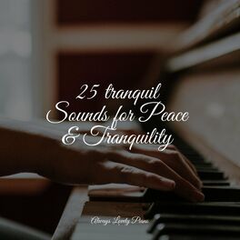 Album cover of 25 tranquil Sounds for Peace & Tranquility