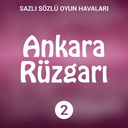 Album cover of Ankara Rüzgarı, Vol. 2 (Sazlı Sözlü Oyun Havaları)
