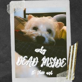 Album cover of DEAD INSIDE (feat. thicc nish)