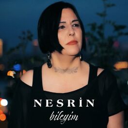 Album cover of Bileyim