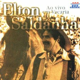 Album cover of Elton Saldanha - Ao Vivo Em Vacaria (Ao Vivo)