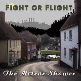 Album picture of Fight or Flight