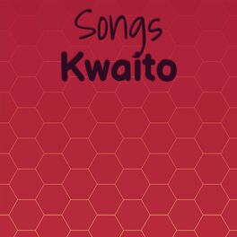 Album cover of Songs Kwaito