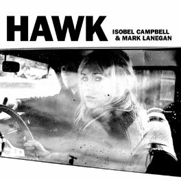Album cover of Hawk